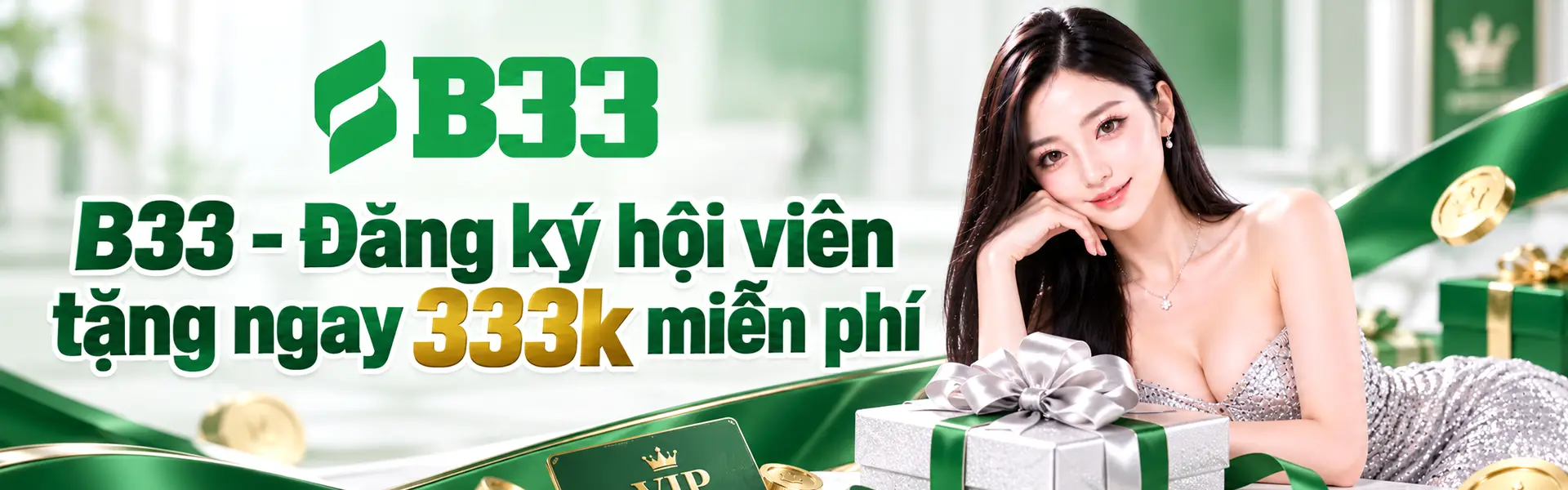 b33-banner